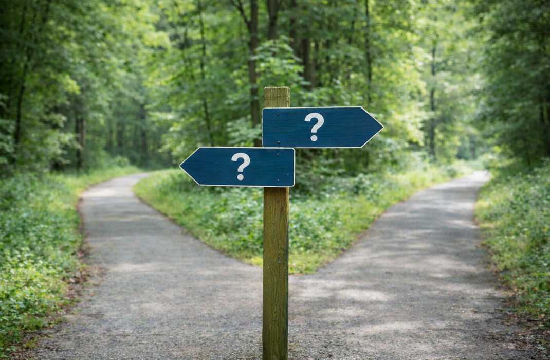 分かれ道で判断に迷う様子を表した風景